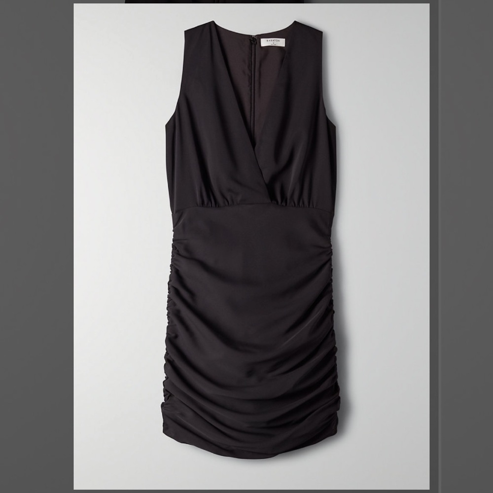 Aritzia Babaton Viva dress
